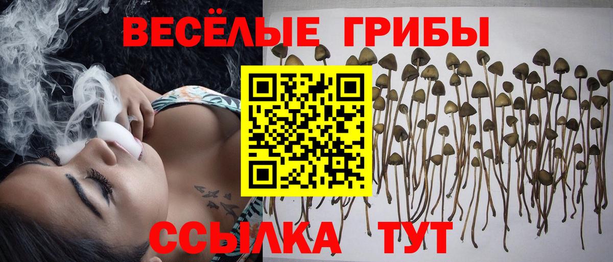 A-PVP Кузнецк