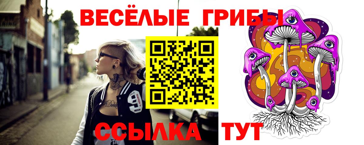 Псилоцибиновые грибы Cubensis Кузнецк