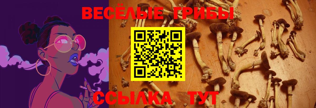 Галлюциногенные грибы Magic Shrooms  Вход с VPN  Кузнецк 